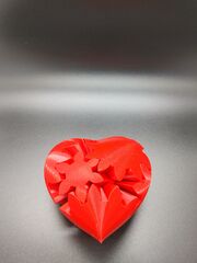 20201003_144510.jpg