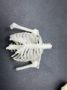 3D Printer FilamentsИзображение 3D печати