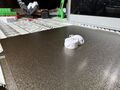 IMG_3139.jpeg