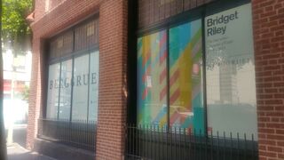 art-gallery-window-graphics.jpg