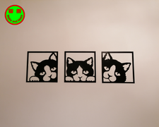 IMG_20211025_191845.png