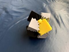IMG_8627.jpg
