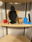IMG_5283.jpeg