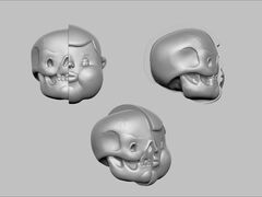 Skull_screenshot_6.jpg