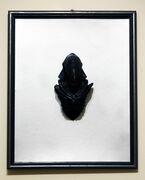 _IMG_9872.jpg
