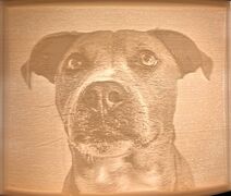 Mack-litho.jpg