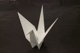 IMG_0937.jpg
