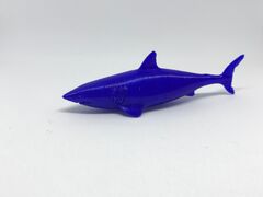 IMG_1611.jpg