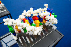3D Druck - DNA.jpg