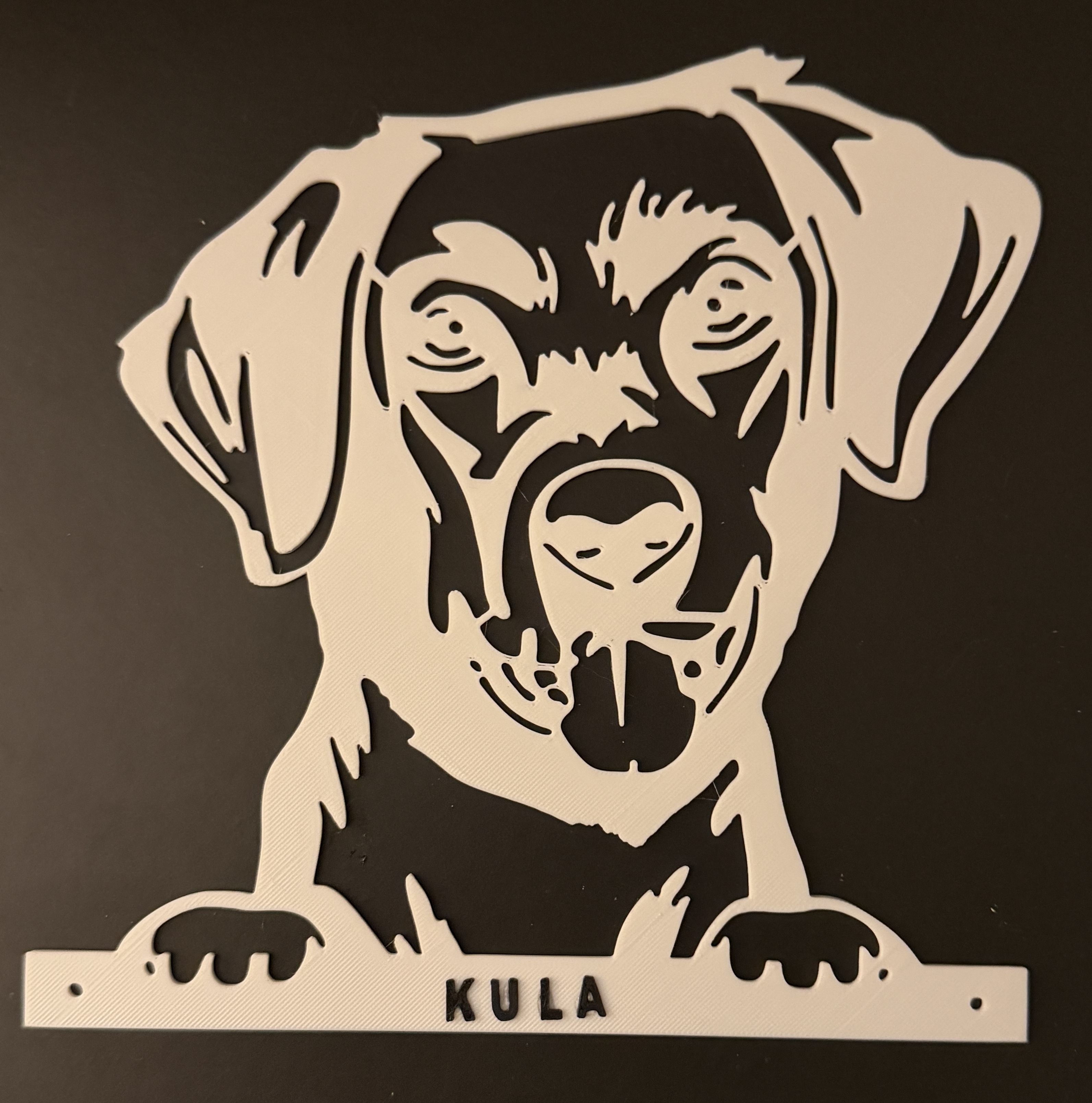 JDBPrints 3D printing photo