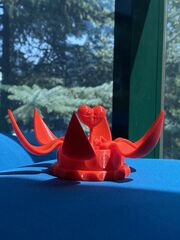 IMG_8307.JPG