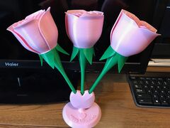 IMG_4328(1).JPG