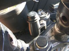 IMG_20171015_152433.jpg