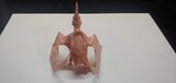 Alchemy 3d Prints Photo d'impression 3D