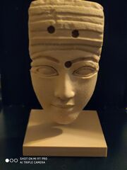IMG_20200517_163131.jpg