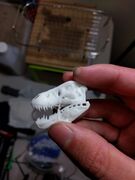 IMG_20171003_001542.jpg