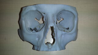20161004_160031.jpg