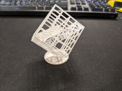 PXL_20210829_114854800.jpg