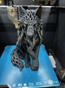 IMG_3912.jpeg