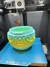IMG_7884.jpeg