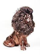 hairylion01.jpg