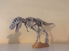 IMG_0449.JPG