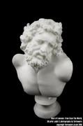 Bust of Laocoon 003.png