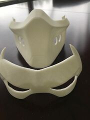 mask2_IMG_2342.jpg