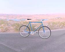 Bike_1.jpg