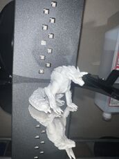 IMG_5656.JPEG