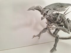 20230926_114802(2).jpg