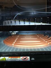 IMG_4469.jpeg