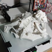 20170522_065710.jpg