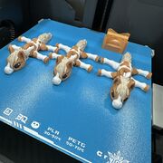 IMG_8127.jpeg