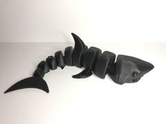 IMG_1812.jpeg