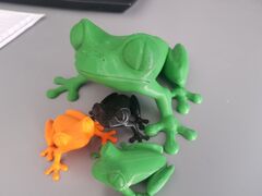 20200506_174621.jpg