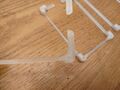 Australopitek3D打印图片
