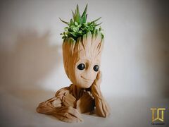IMG_20200627_145037_457.jpg
