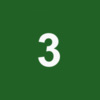 3DIY-WS Logo