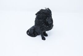 lion.jpg