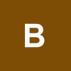 BlindVsnry Logo