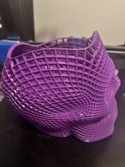 IMG_2870.jpeg
