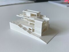 IMG_8781.JPG