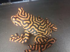 frog.jpg