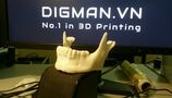 DIGMAN.VN Photo d'impression 3D
