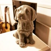 IMG_20210412_211718_936.jpg