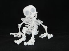 Skeleton.JPG