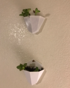 WallPlanter.PNG