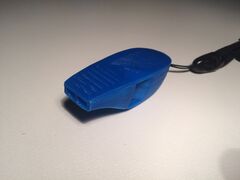 IMG_7895.JPG