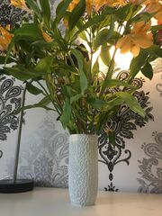 IMG_0427.jpg